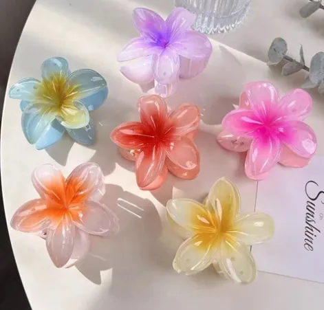 Summer Beach Vacation Ins Plastic Hair Clips Light Color Hair Accessories 